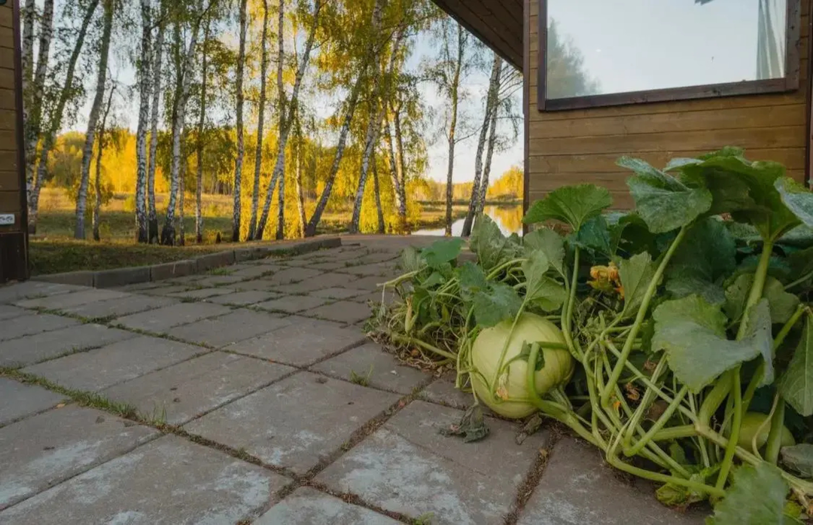 Гостевой дом Усадьба Кузьмищево