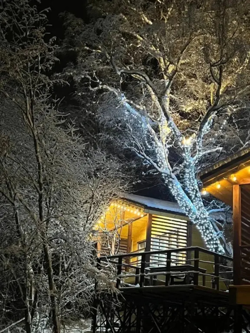 Частный дом Веселые гуси 1