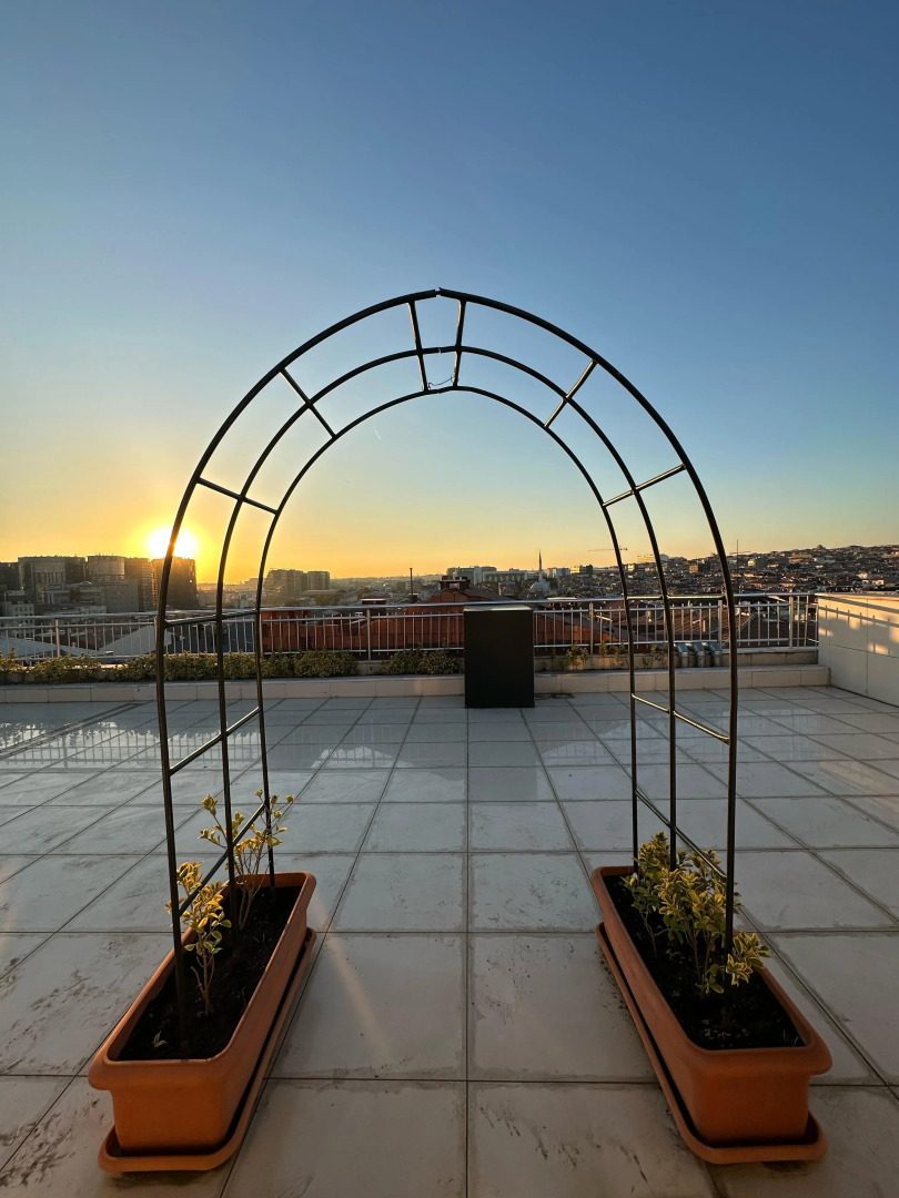 Отель Comfort Suites