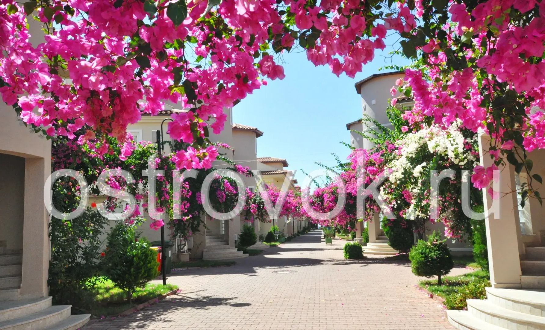 Апарт-Отель Sunset Beach Club