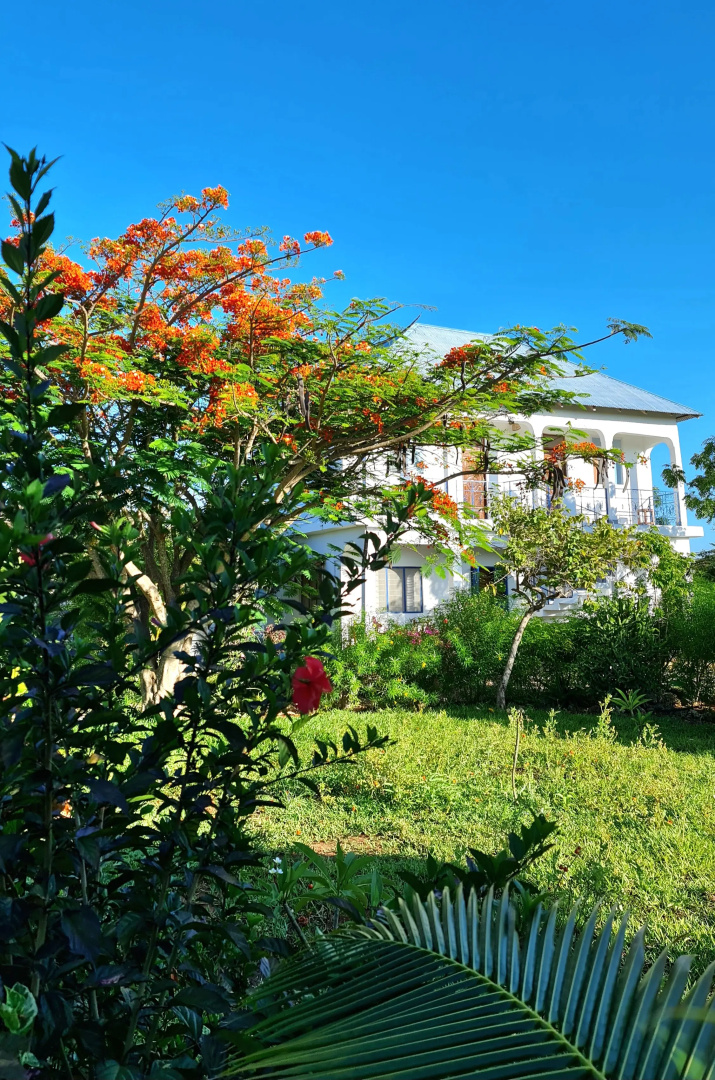 Вилла Frangipani House Zanzibar Nungwi