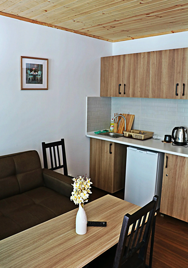 Апартаменты 2 Panorama by Mgzavrebi