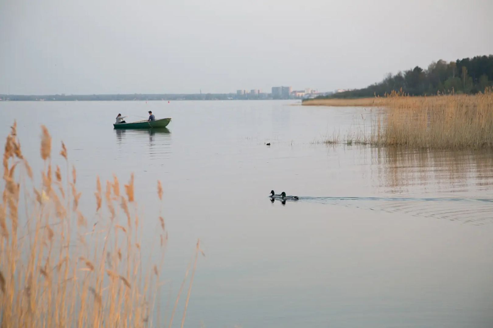 Частный дом загорoдный в финском стиле