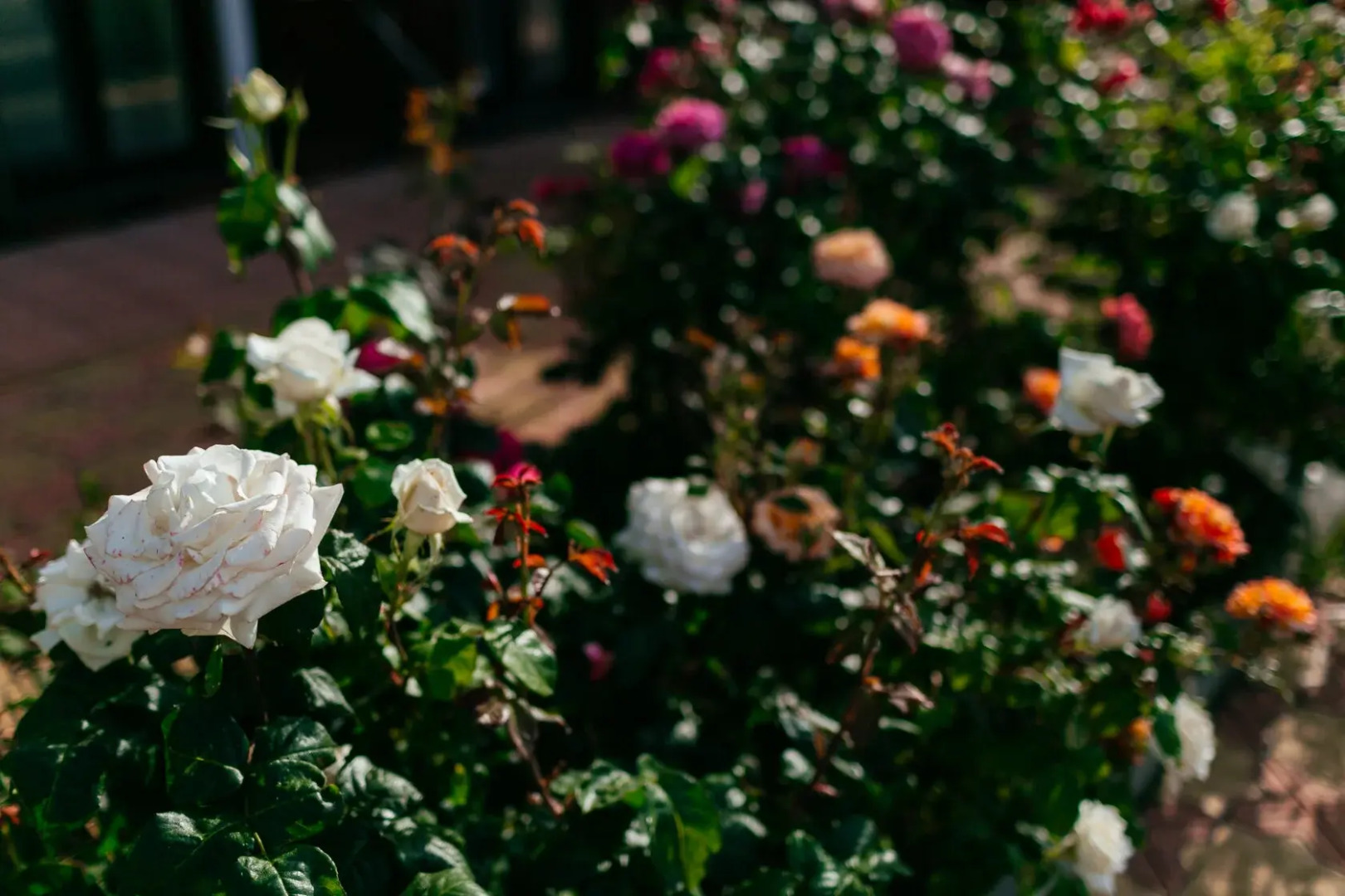 Отель Леонардо