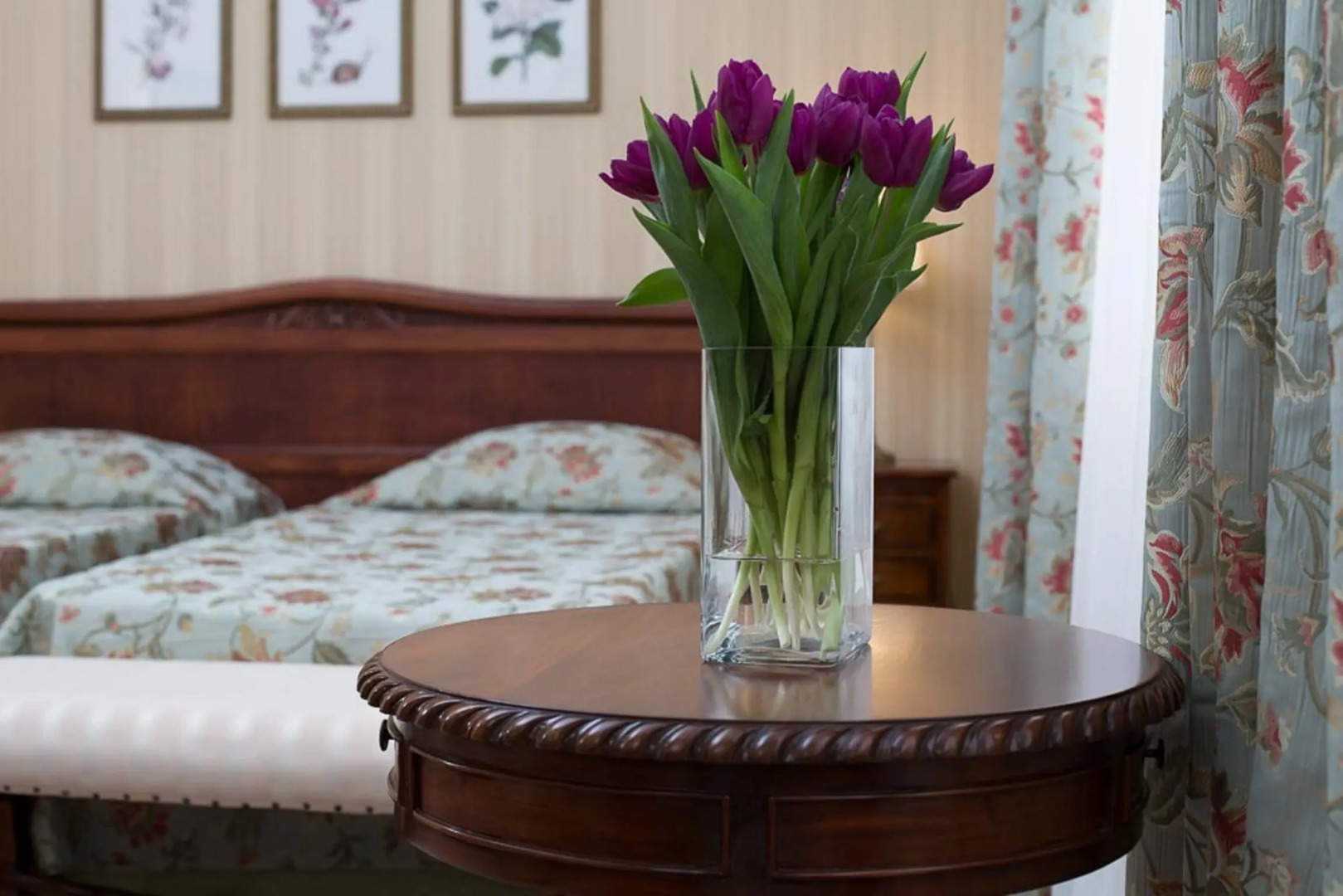 Отель Dolphin Resort by Stellar Hotels Sochi