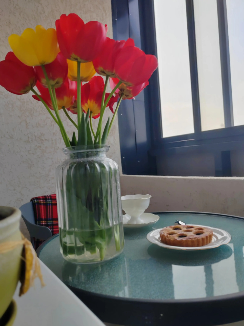 Апартаменты 2-х комнатные с видом на планету Земля