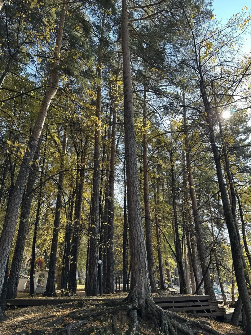 Апартаменты Уютные на озере Еловое