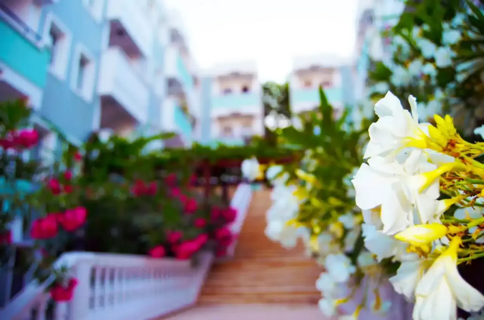 Отель Sunpoint Family