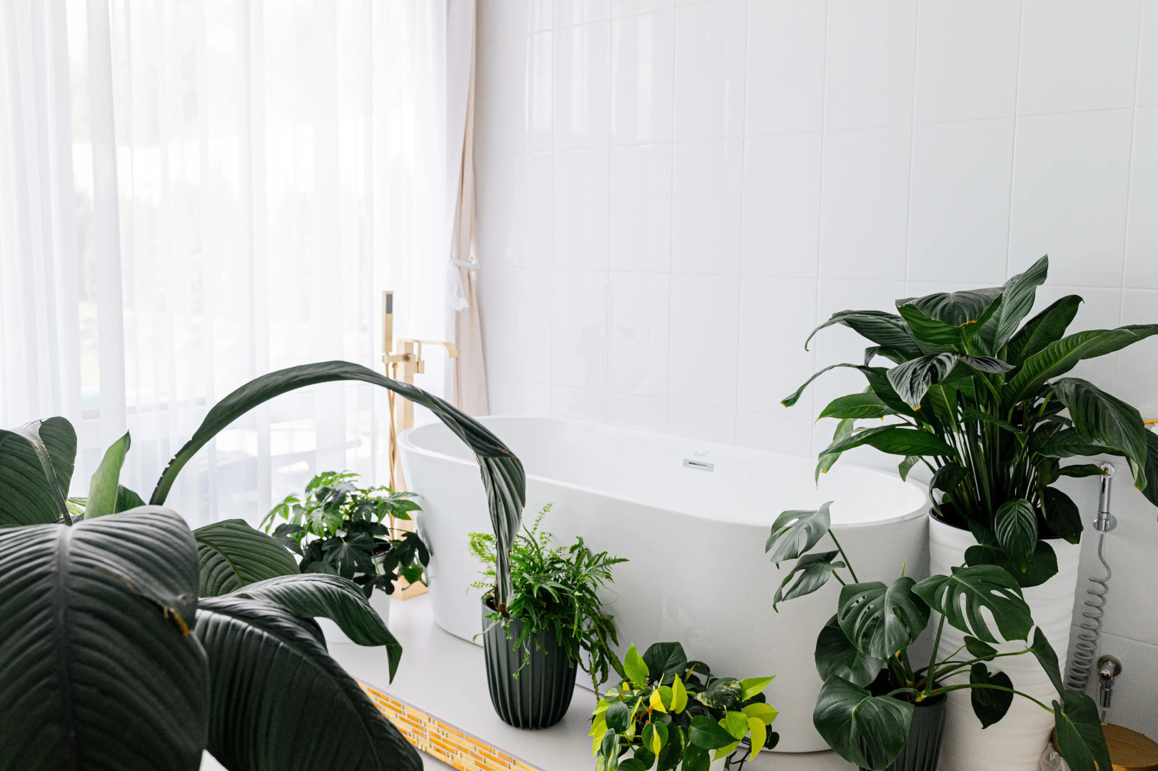 Отель Кавказский Целитель