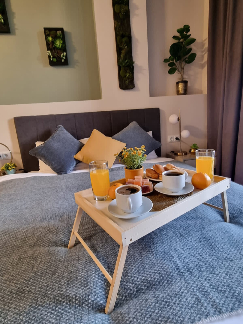 Nature View Designer Studio