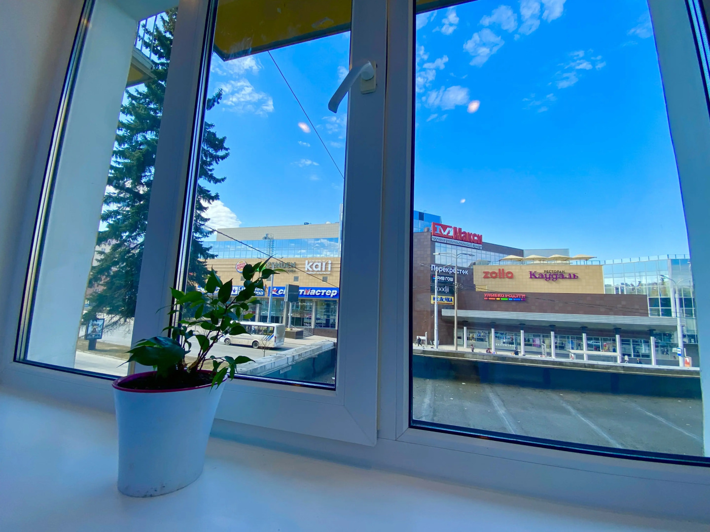 Квартира Голубика