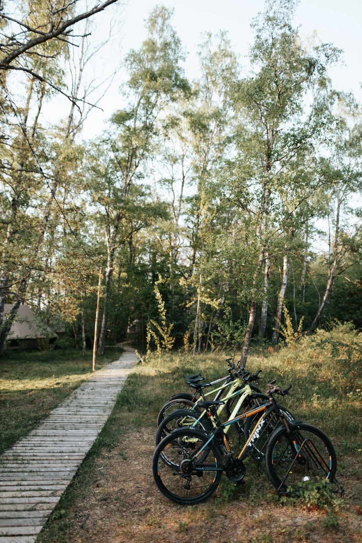 Поляна Глэмпинг, 1-я линия моря (12+)