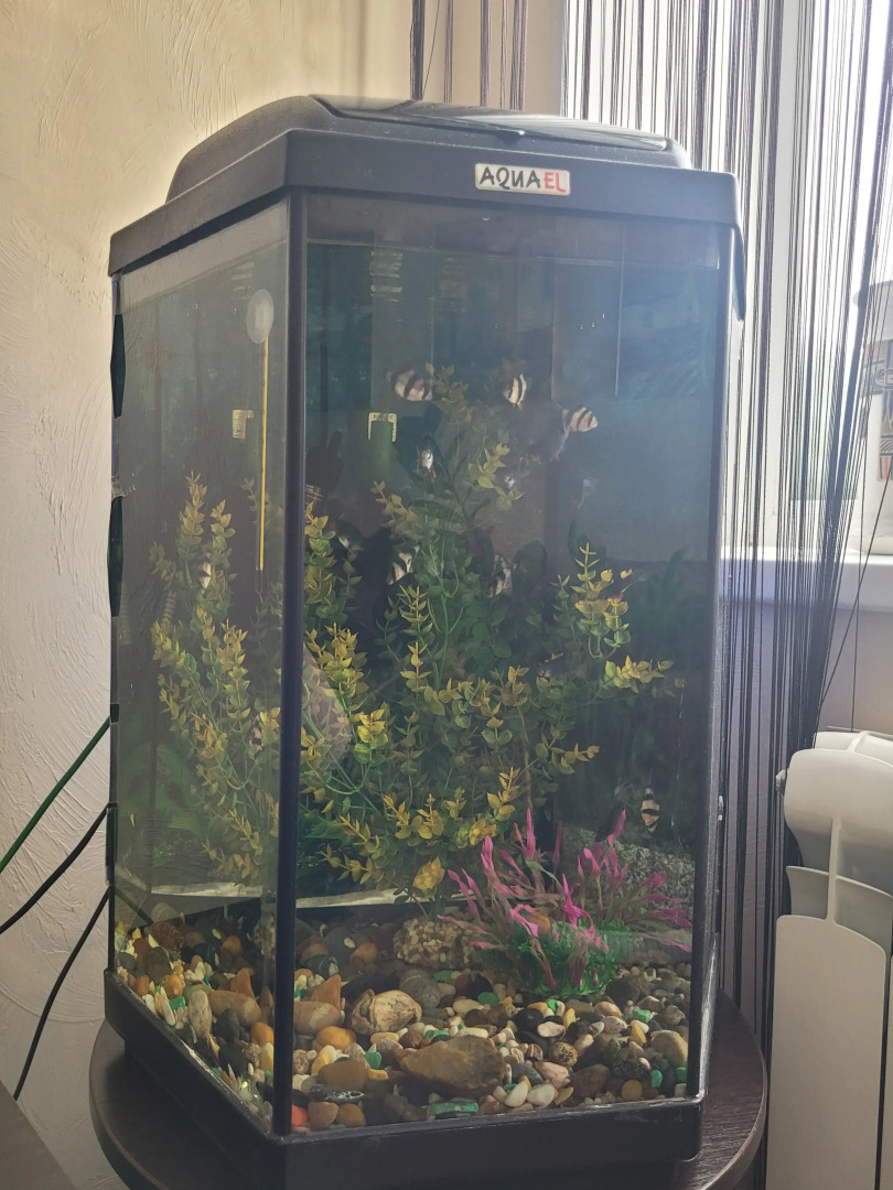 Отель ПушкинЪ