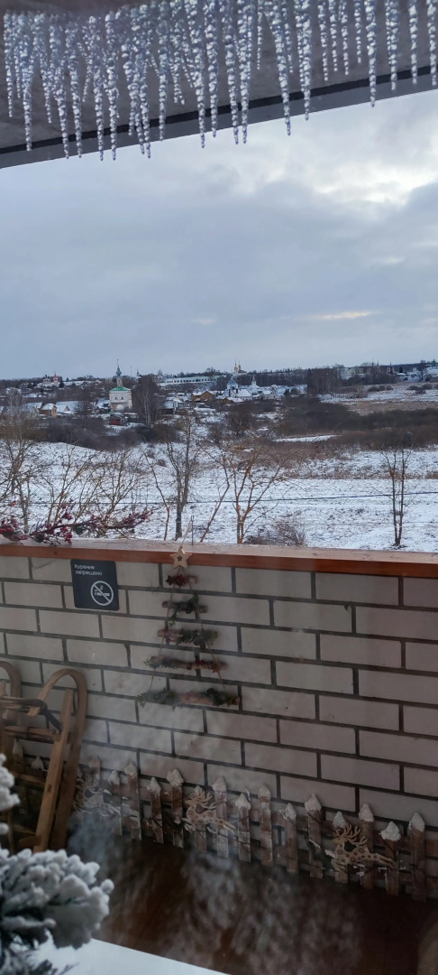 Квартира с панорамным видом на Суздаль