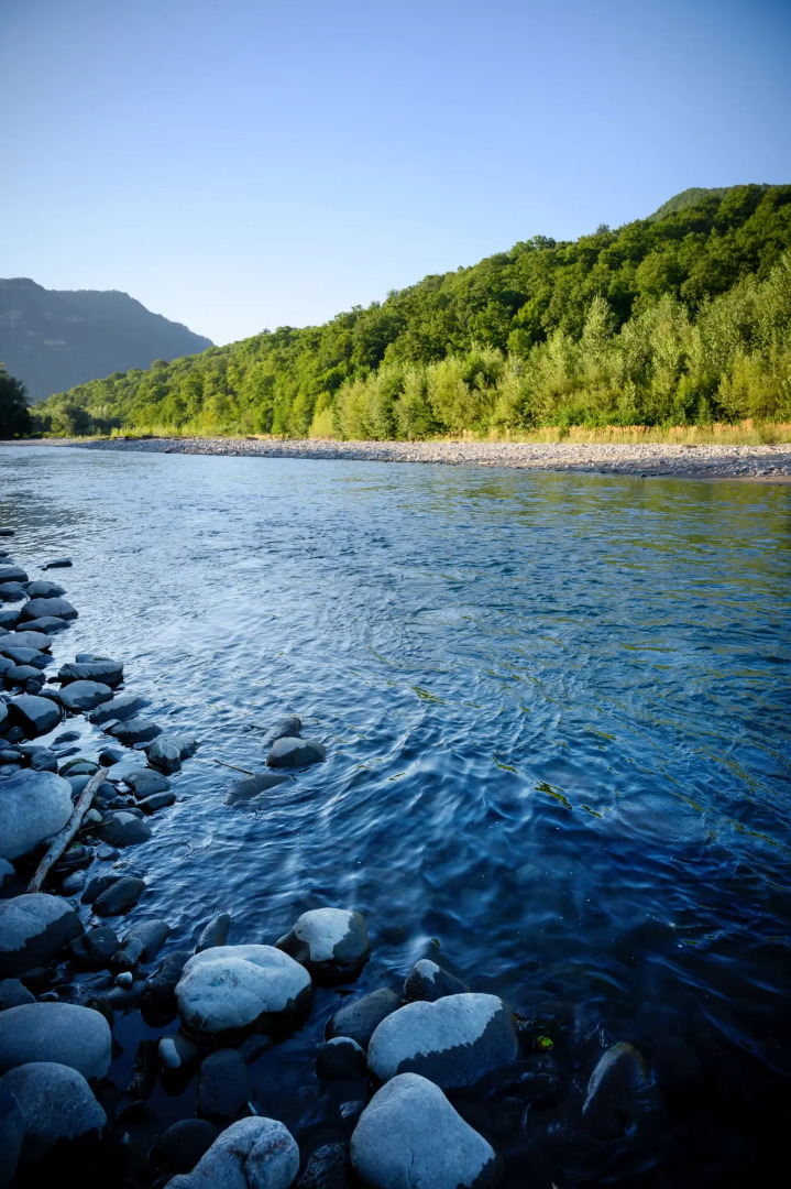 Гостевой дом АльтаРио