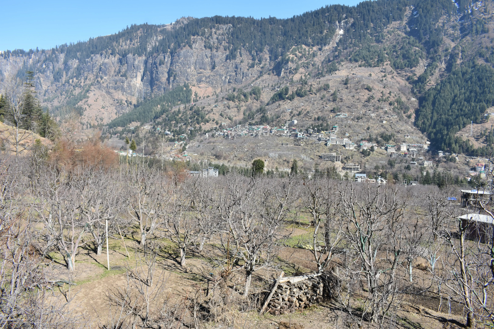 Апартаменты Nishant