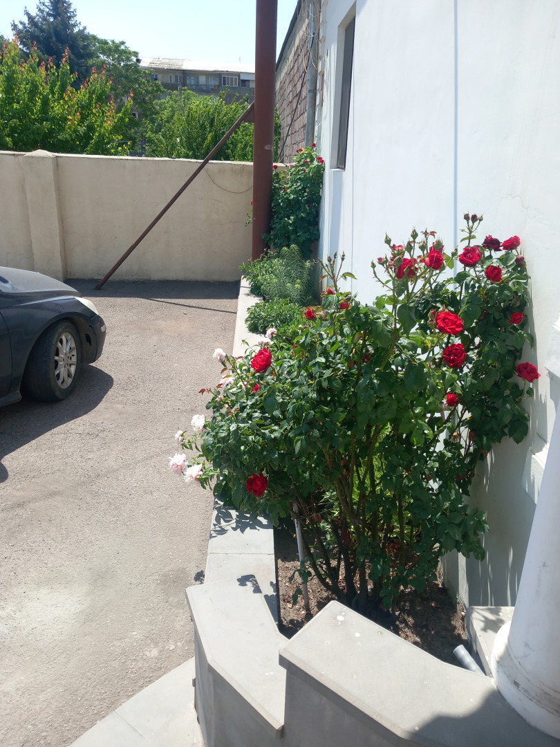 Hotel Star Zvartnoc Evn Airport