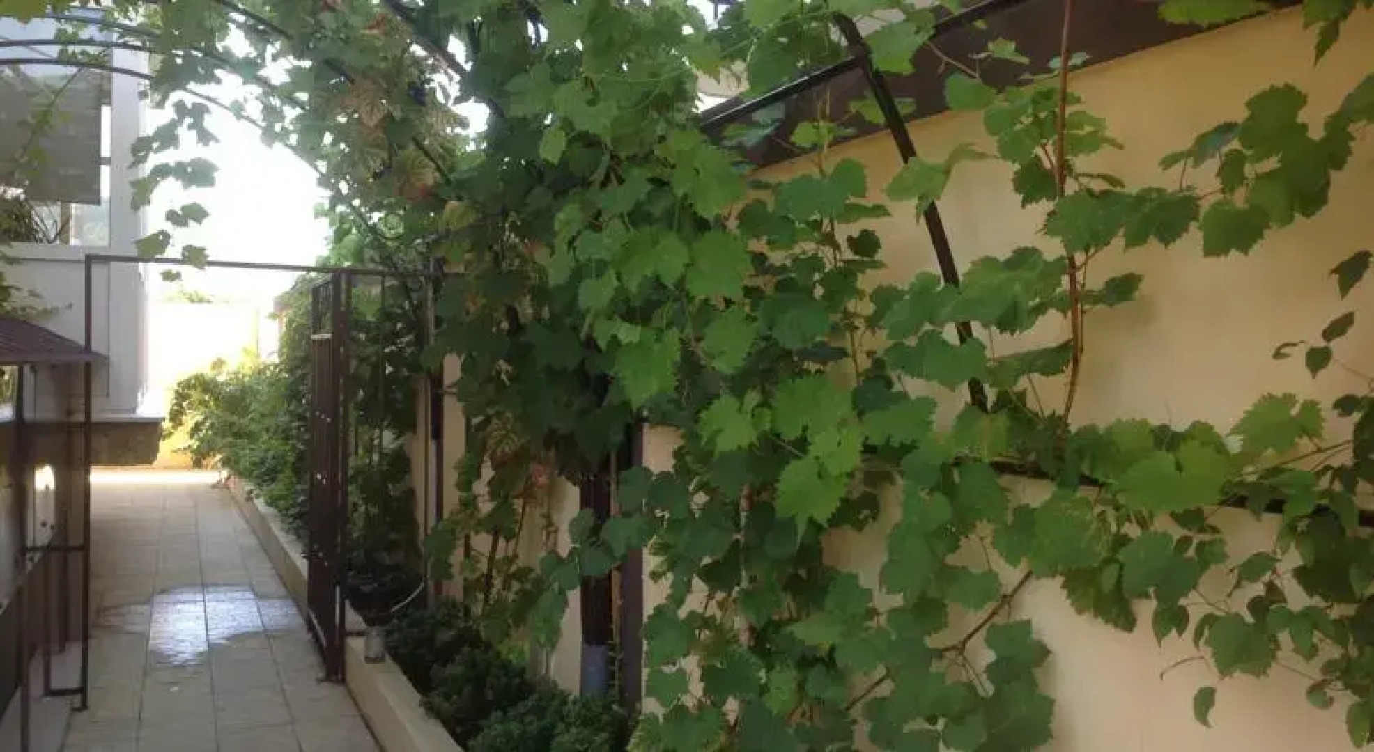 Гостевой Дом Violetta