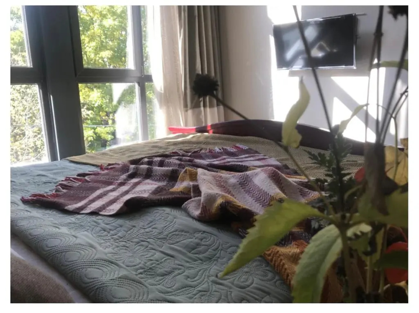 Апартаменты Уютная квартира в Самом Центре Кисловодска