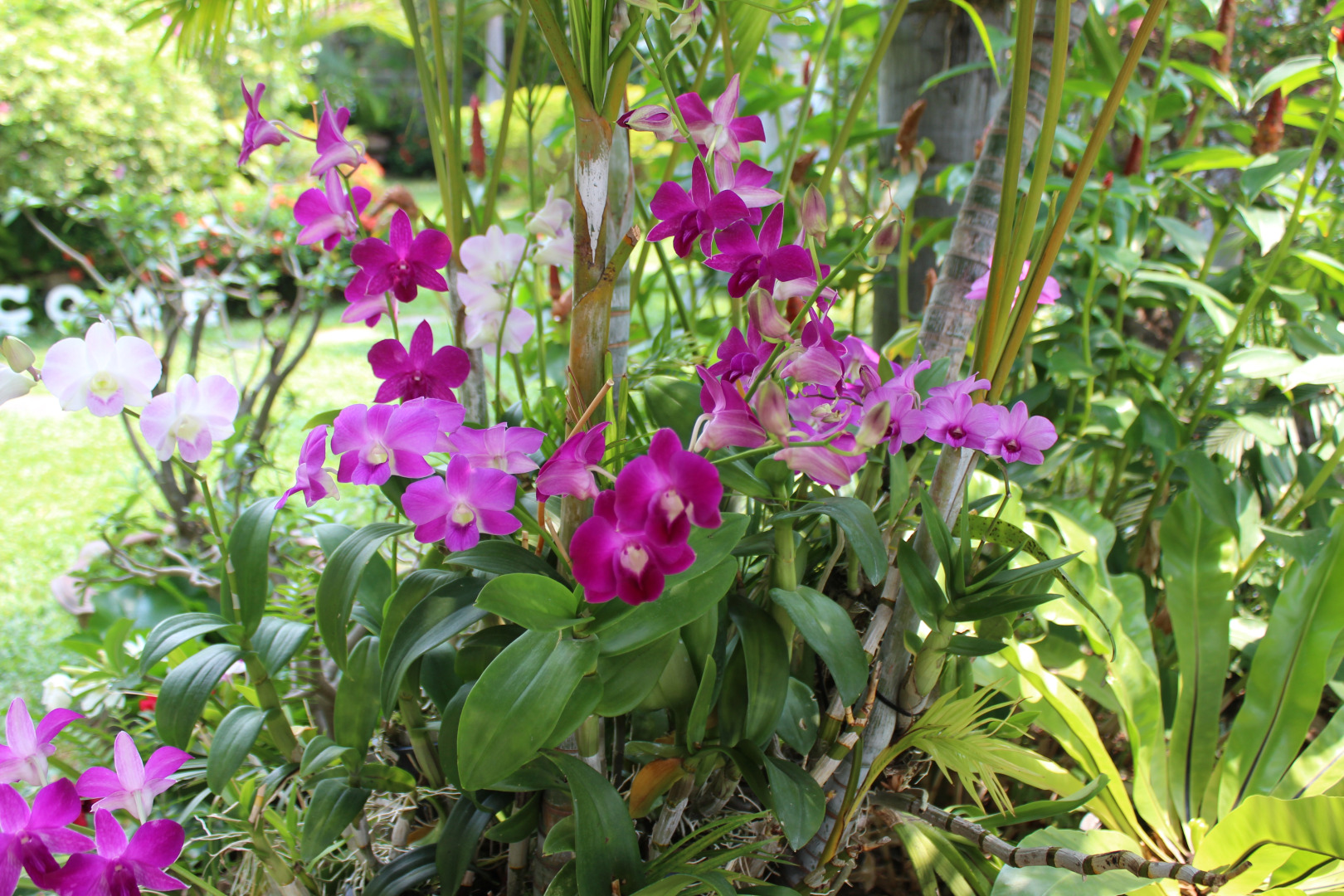 Мини-Отель Whiteelephant Resort