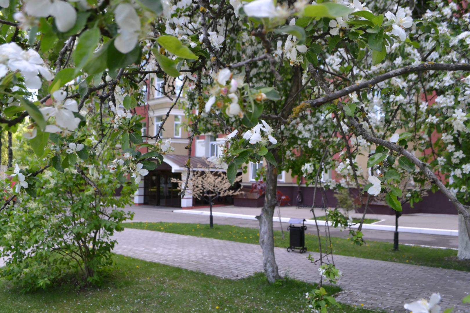 Отель Дружба