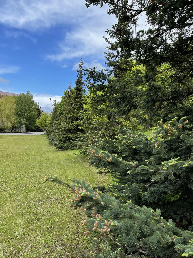 Санаторий Сокол