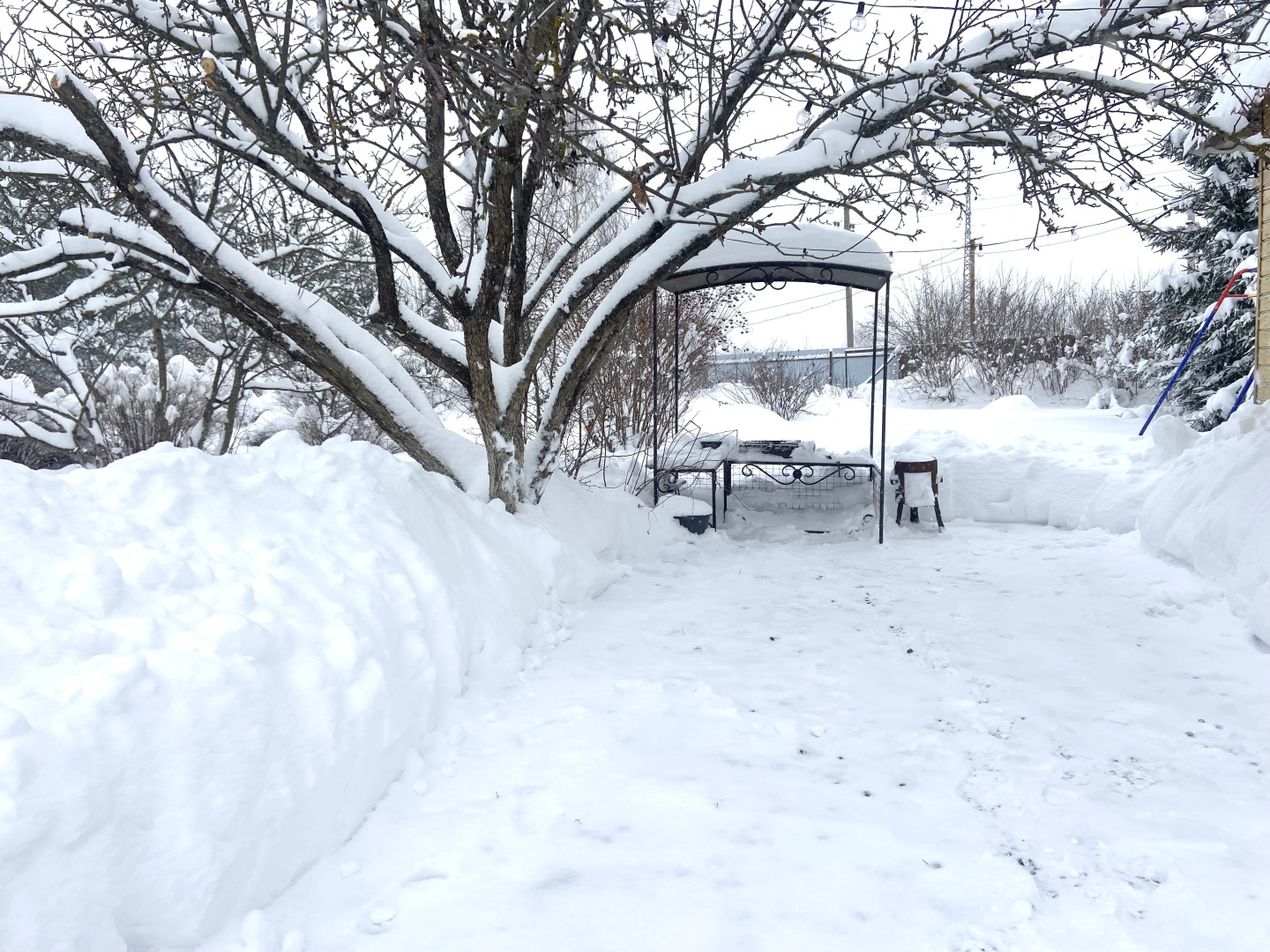 Частный Дом Гостевой Дом Pine Housе