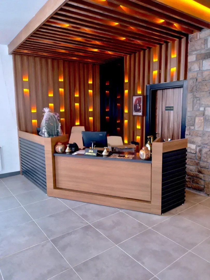 Отель Metinoğlu Pansiyon (Chalet Khione) Sarıkamış