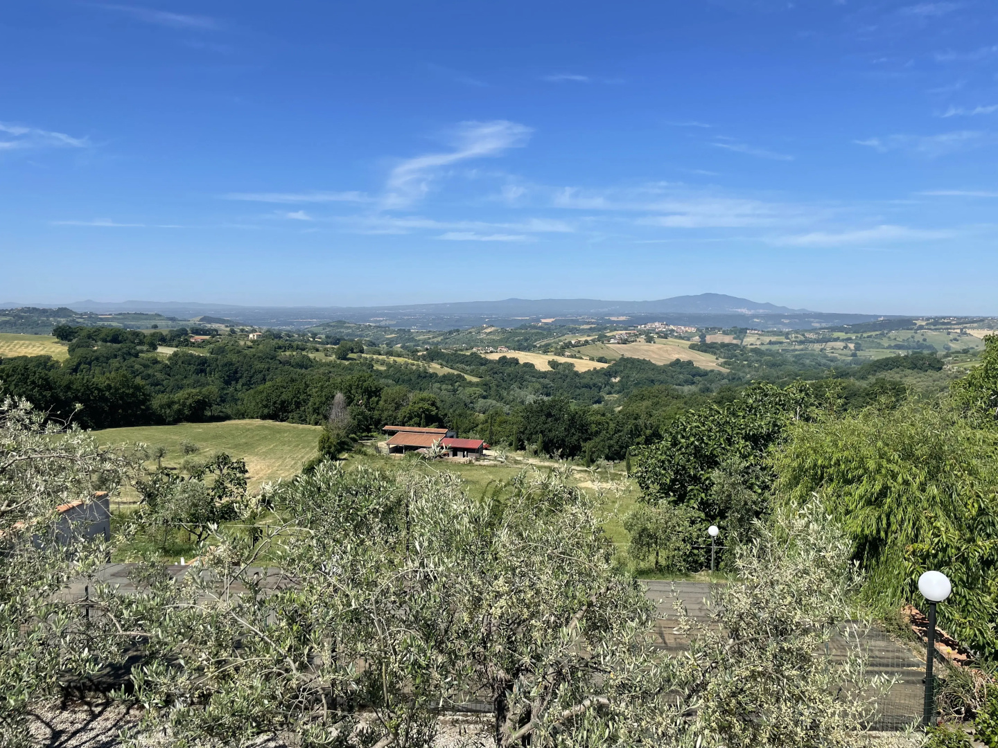 Tenuta San Savino delle Rocchette