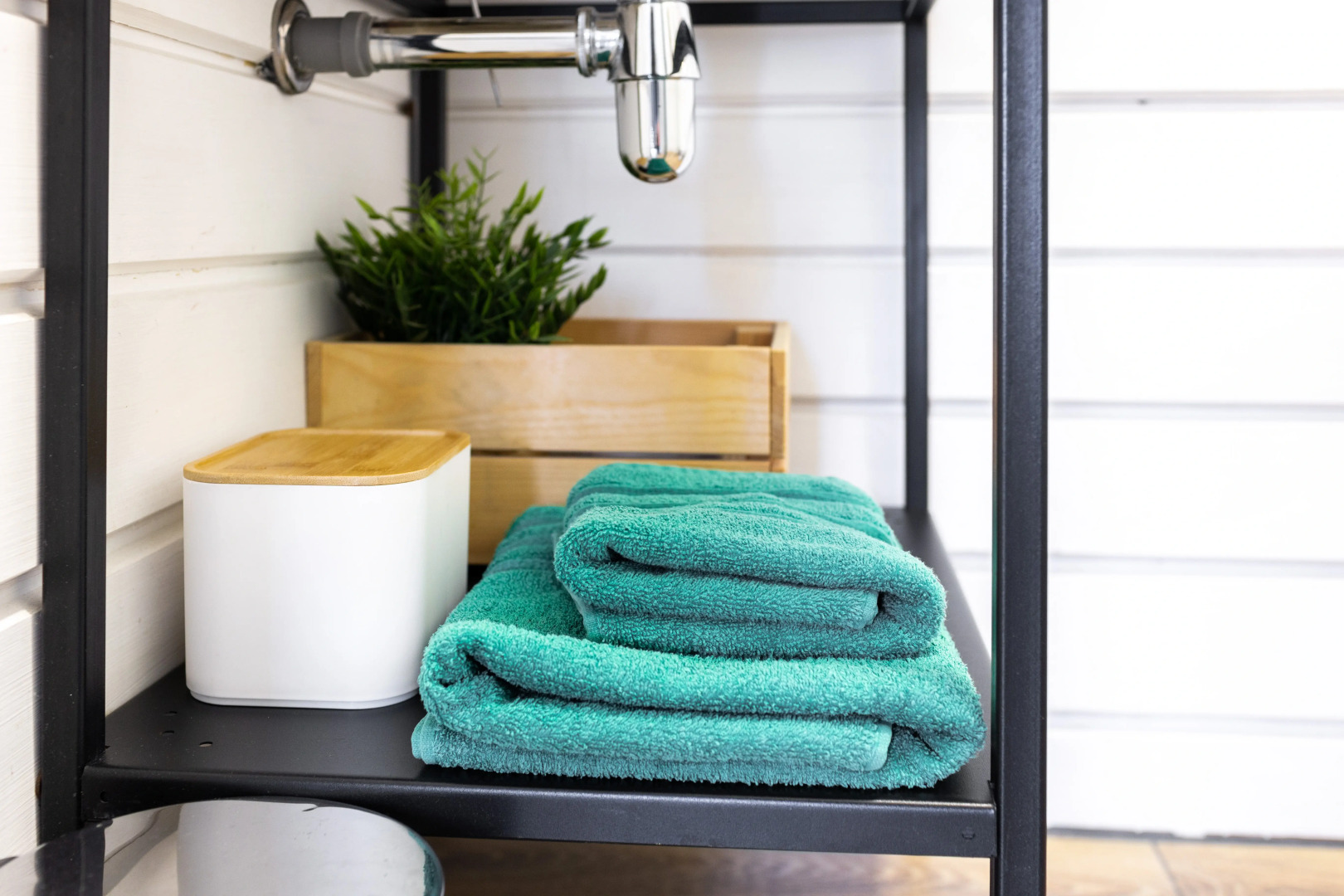 Частный дом Дом-студия Forest deer