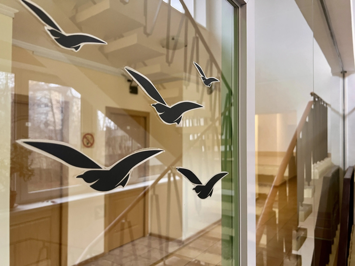 Гостиница Чайка