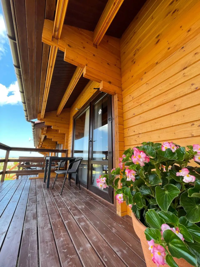 База отдыха Кактус