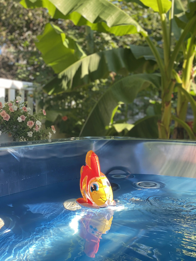 Гостевой дом Каса де ла Луз