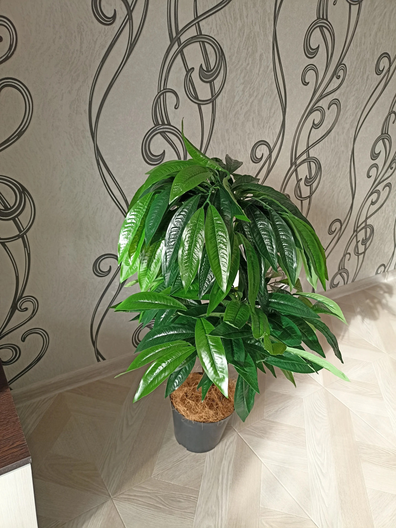 Апартаменты элитные у ТЦ Евроленд