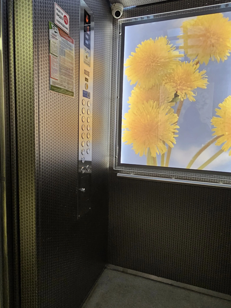 Квартира Современная 3-комнатная в центре Владивостока