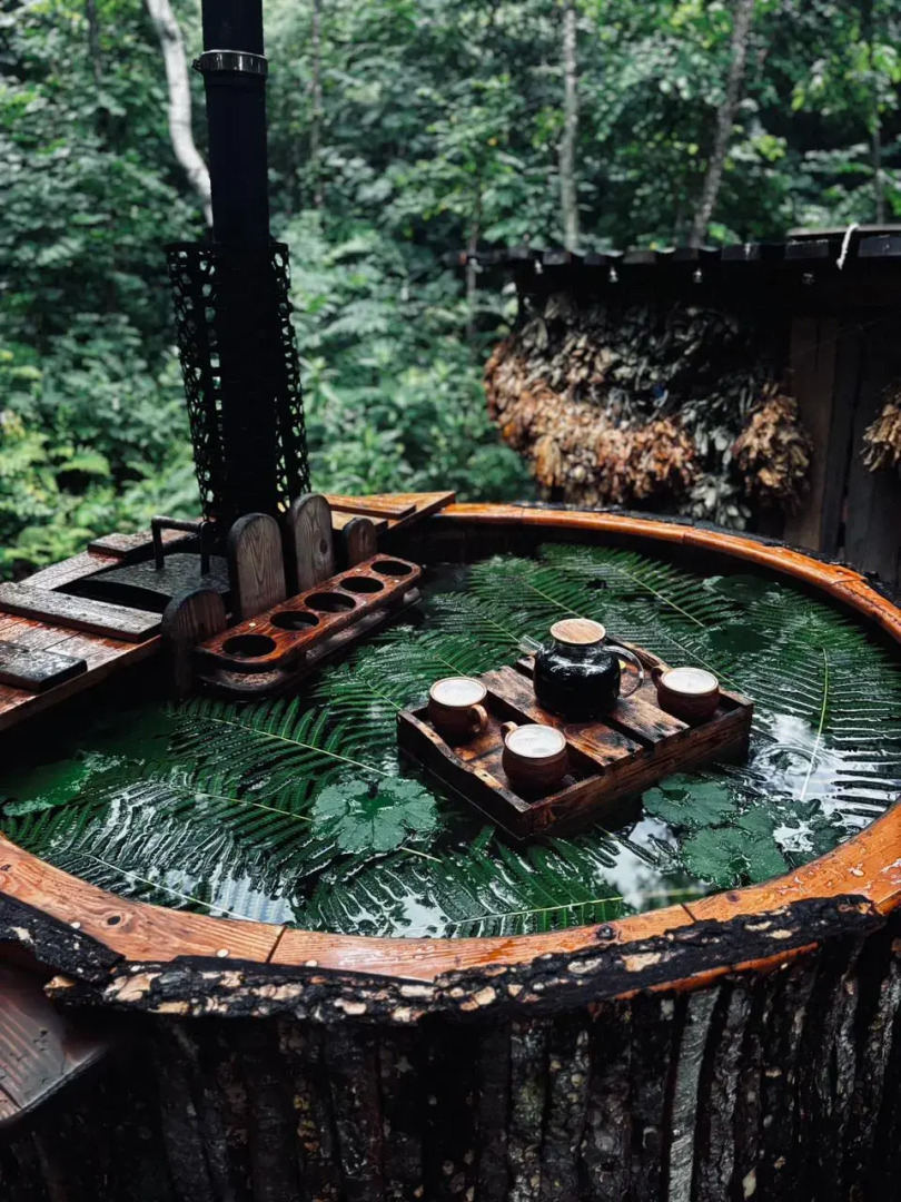 Шале "Крылья Хехцира" - Шале&СПА в лесу