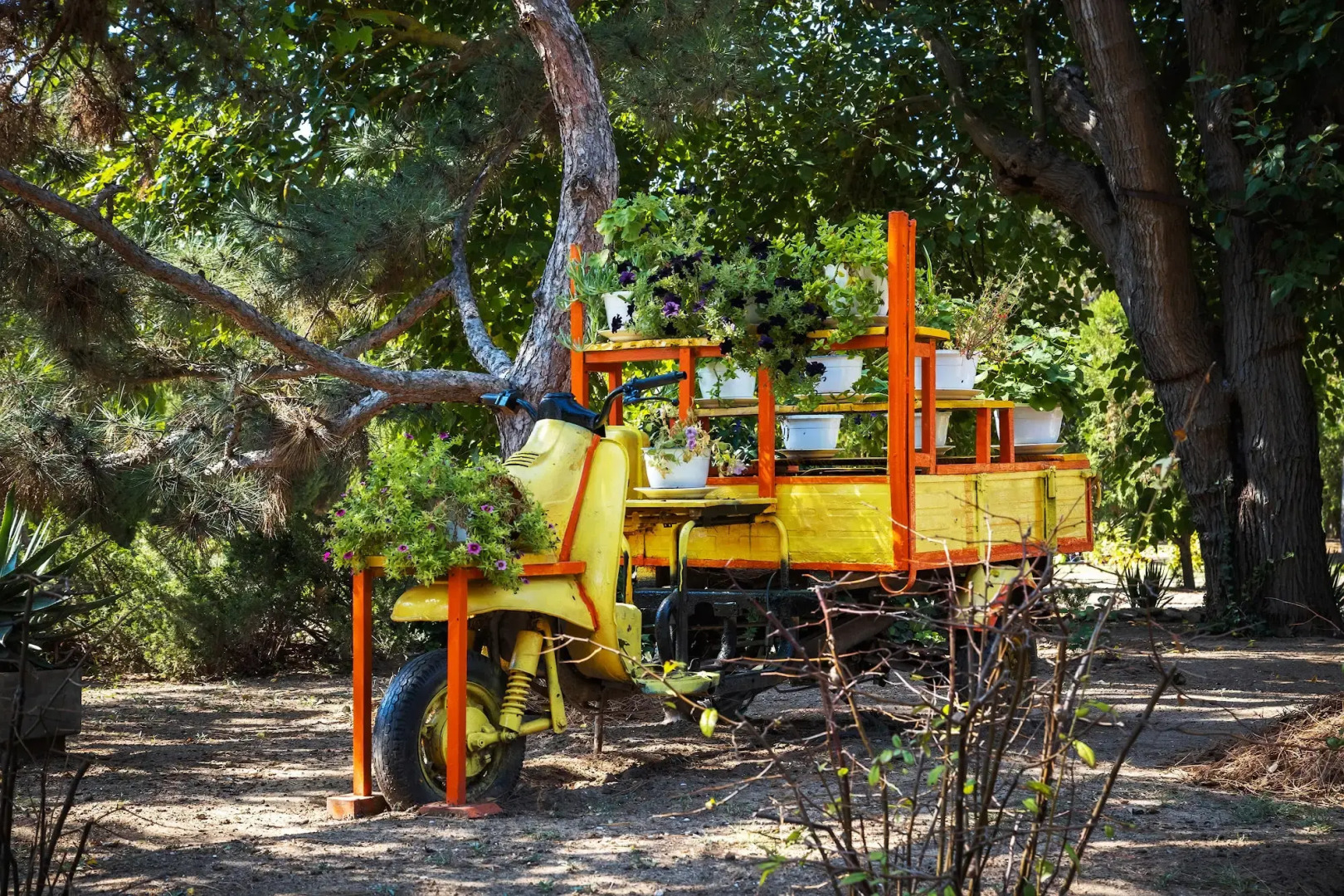 Санаторий Прибой