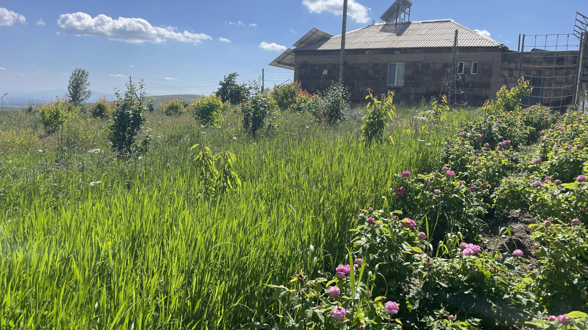 Частный дом Tooi Ecolodge