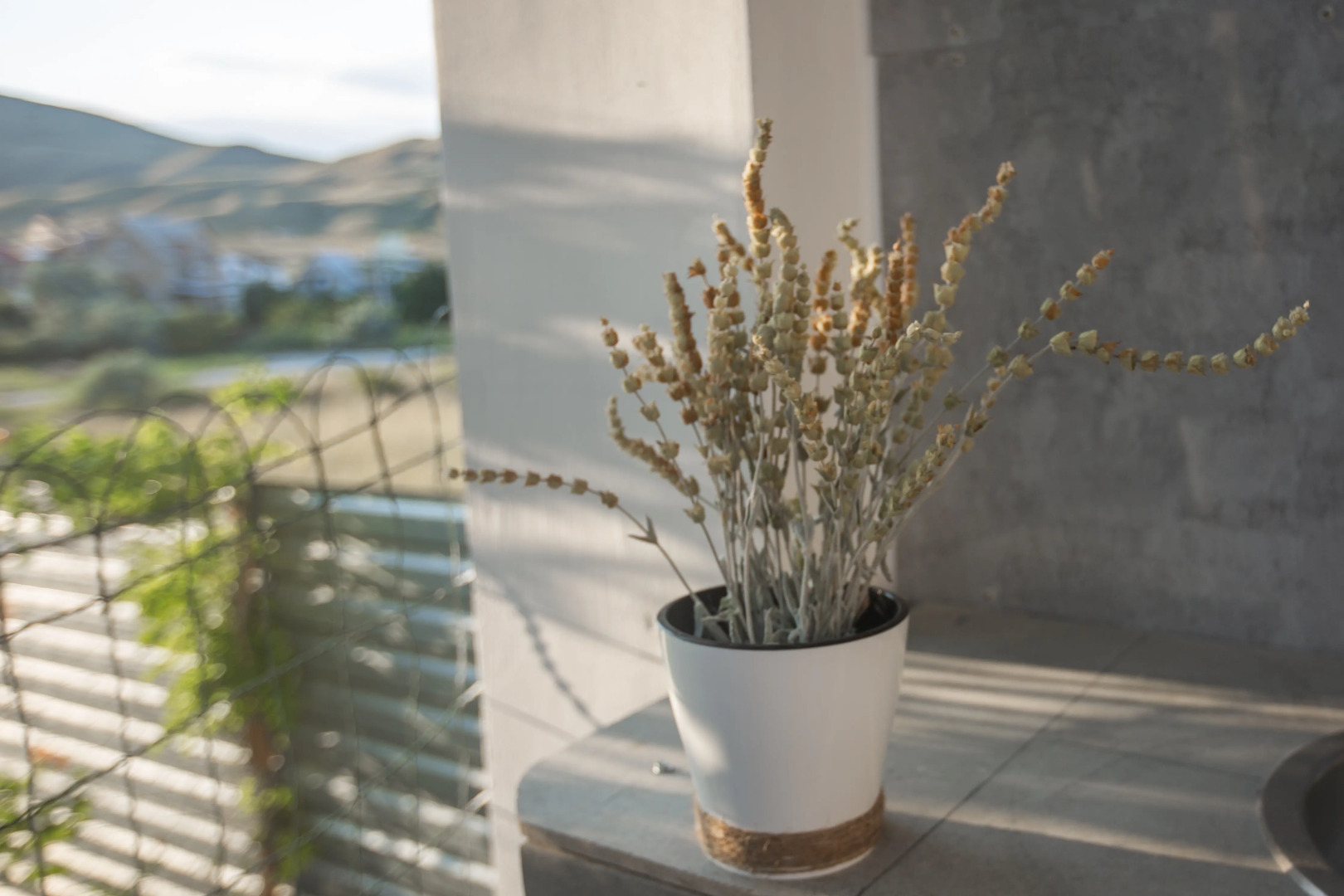 Гостевой Дом Долина Художника