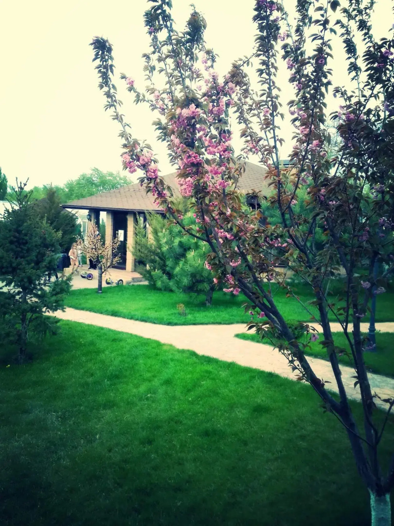 База Отдыха Алмаз Аква Плаза