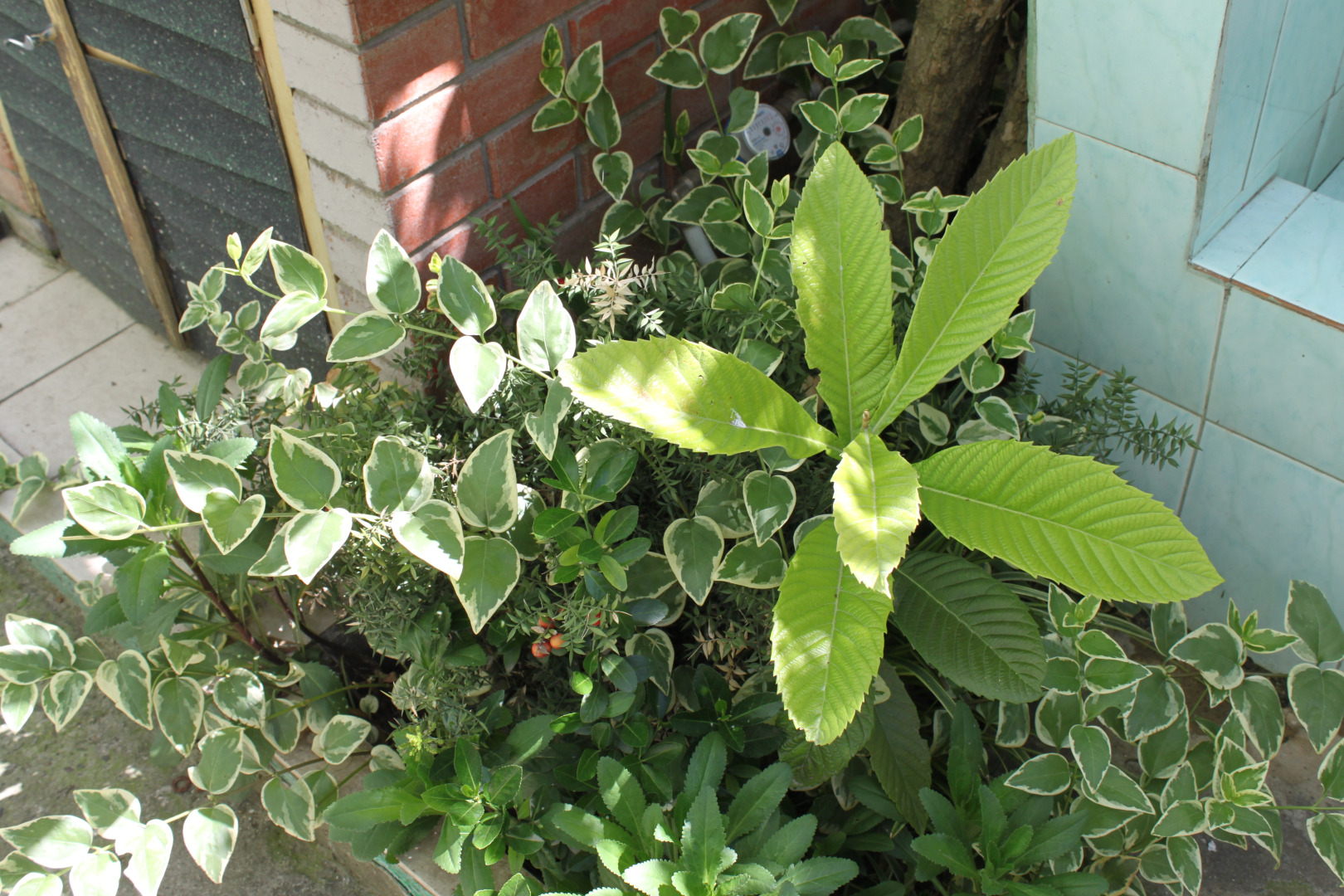 Dobro Pozhalovat Guest House