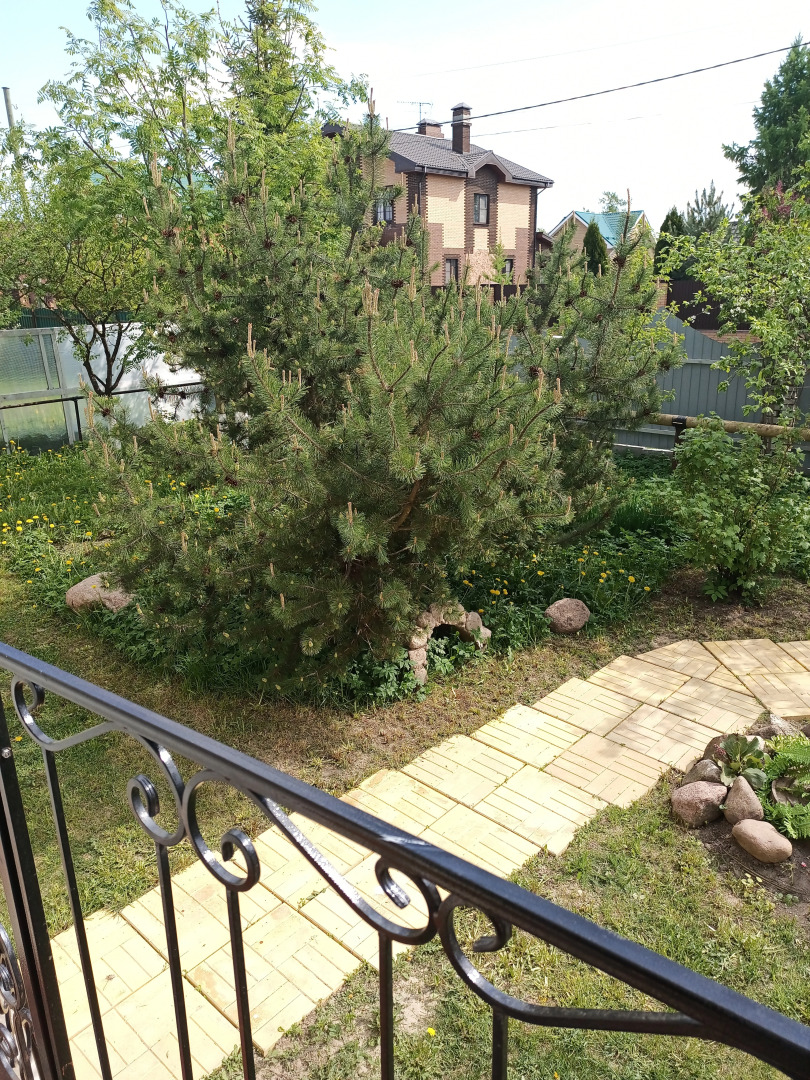 Гостевой дом Мариенбург Гатчина