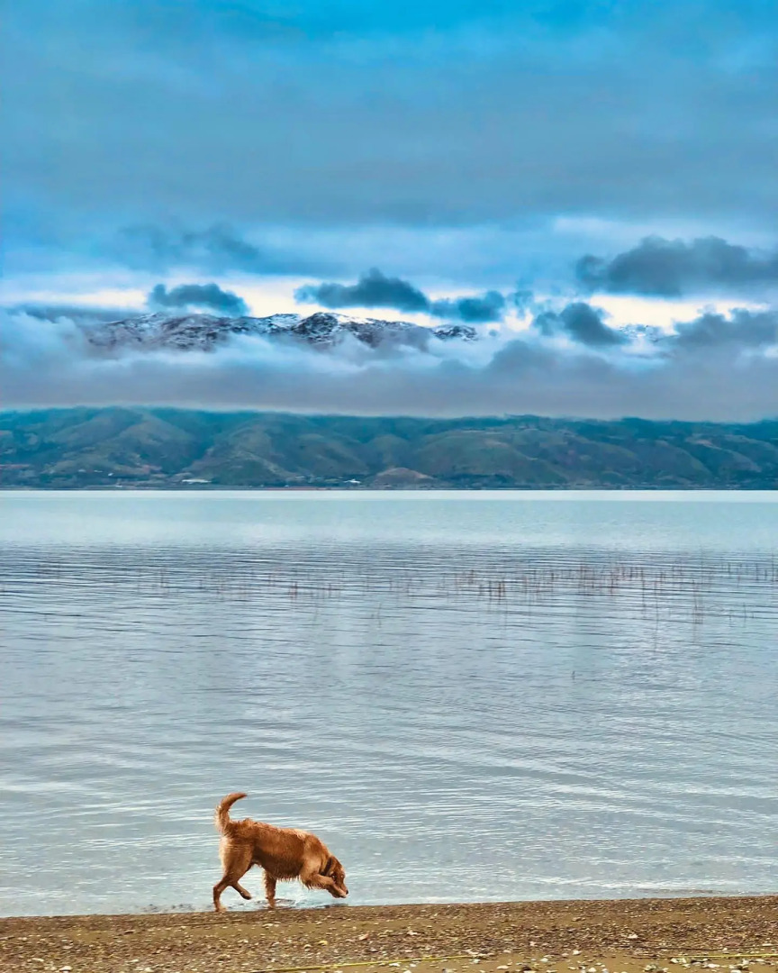 Отель Elazig Mavi Gol