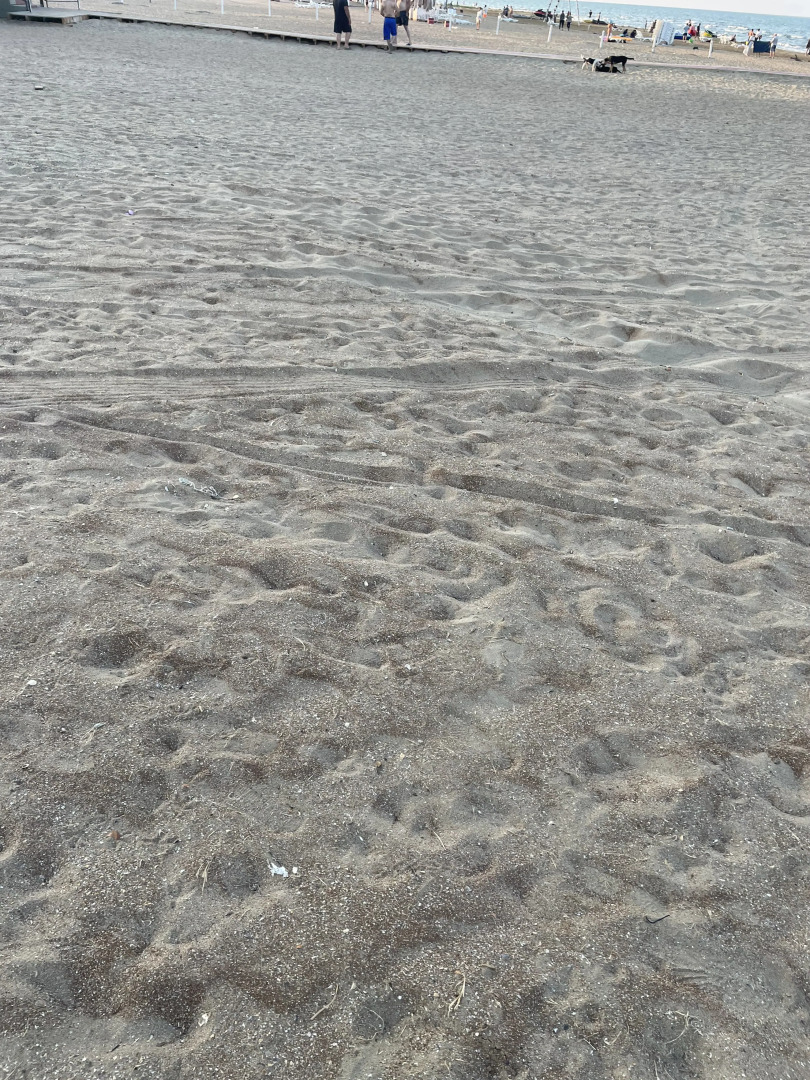 Частный дом Дача На Берегу Моря