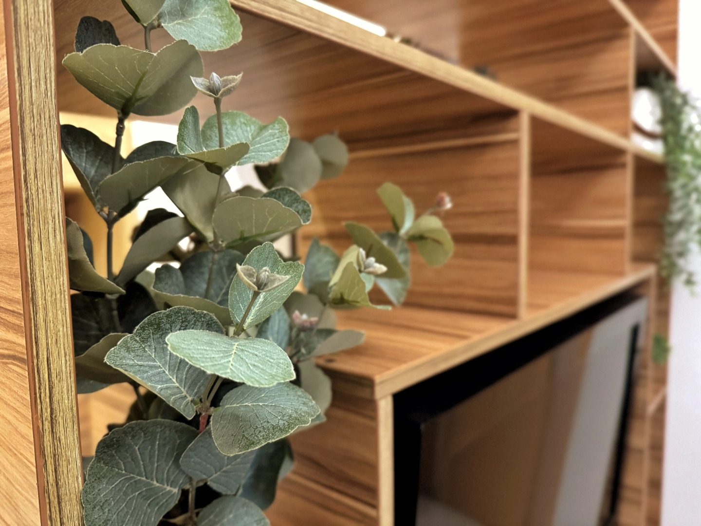 Апартаменты Apart-Comfort на Максимова 5