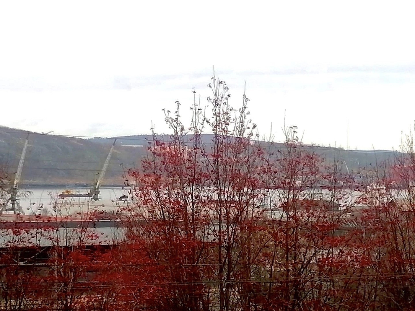 Квартира в Самом Центре Города