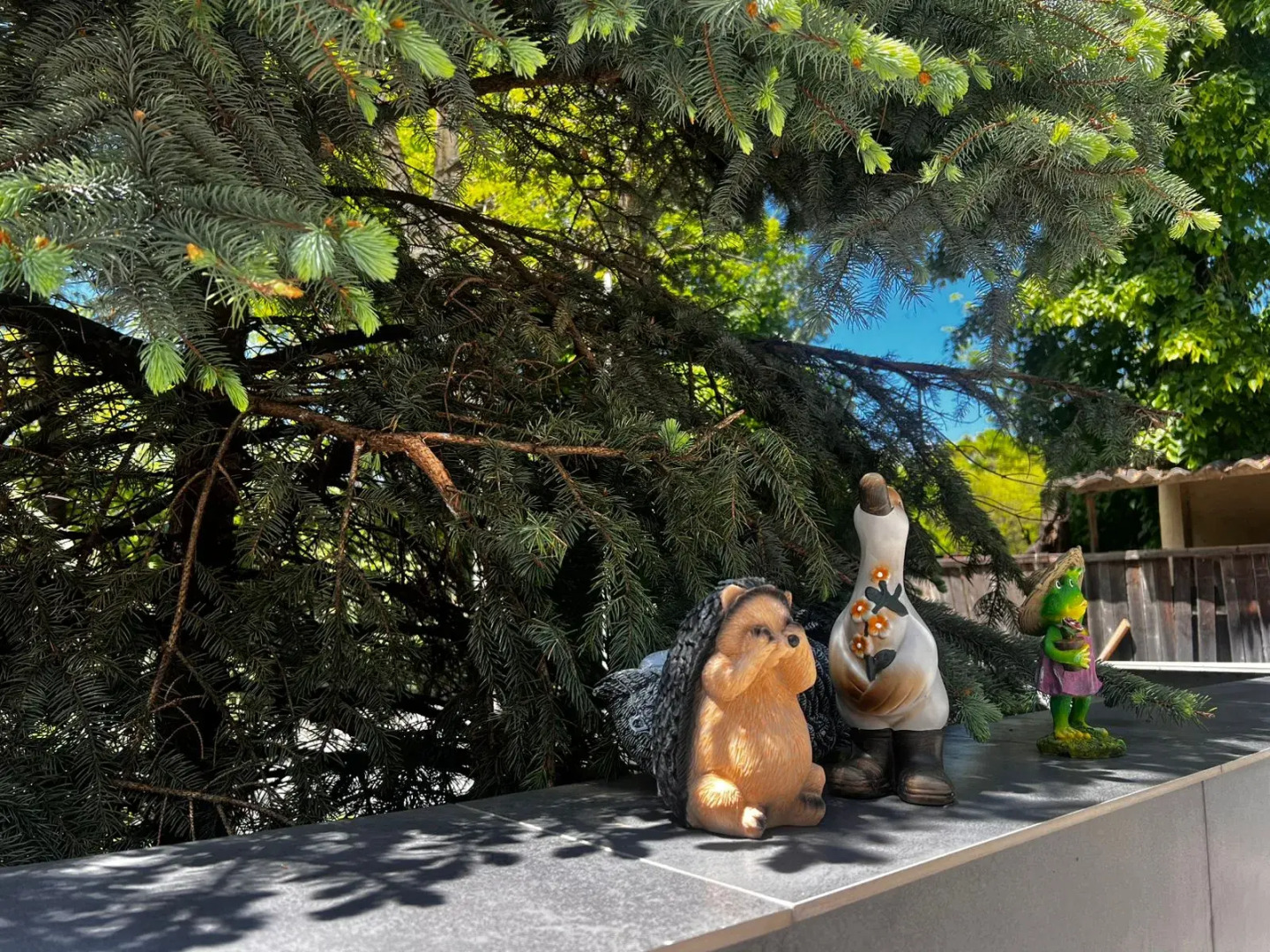 Отель  Турист Кисловодск