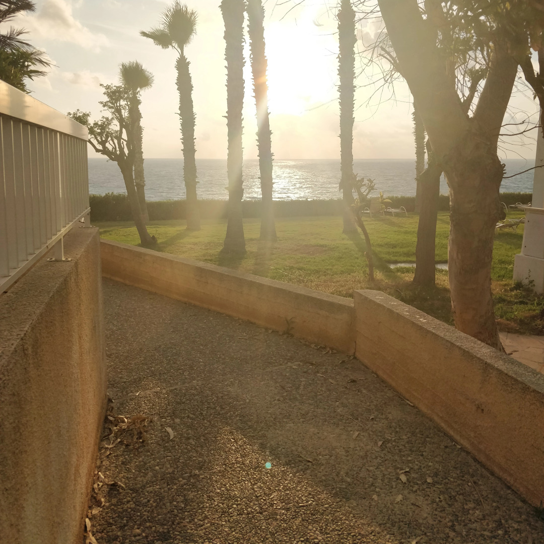 Вилла 22 King Alexander