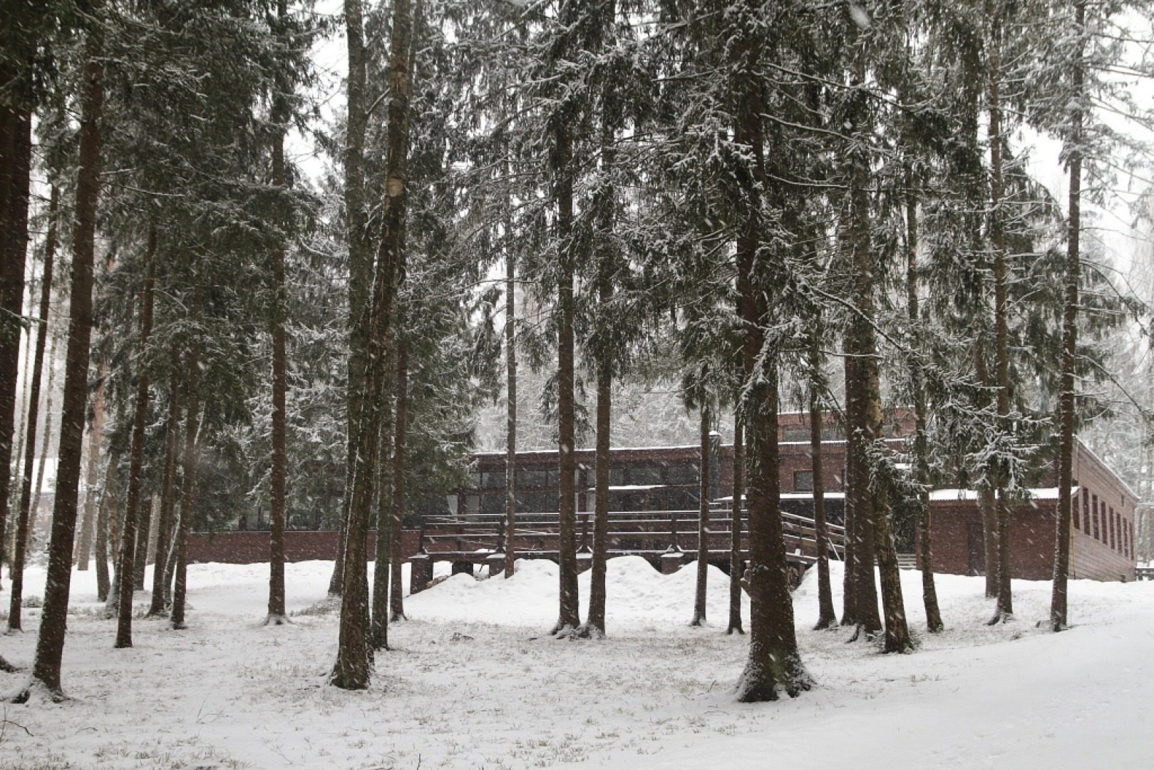 Парк-Отель Воробьи