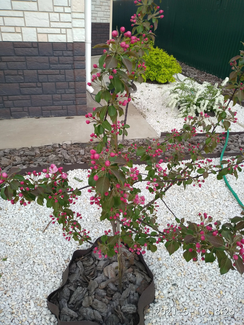 Гостевой Дом Эдельвейс